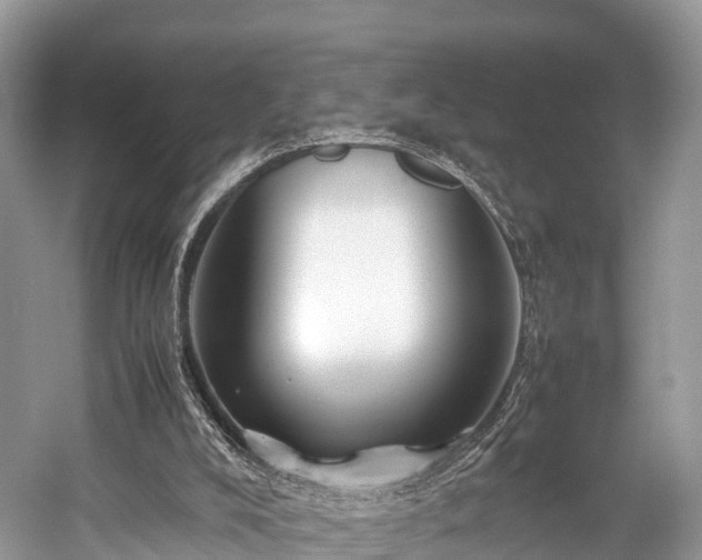 X0000059070008200510101103