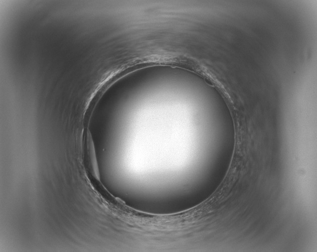 X0000059070011200510101103