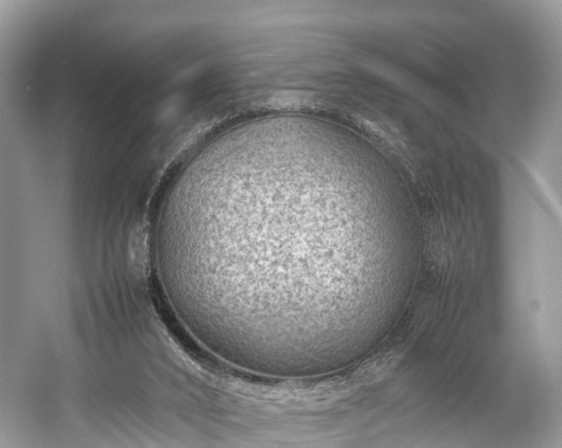X0000059070016200510101103