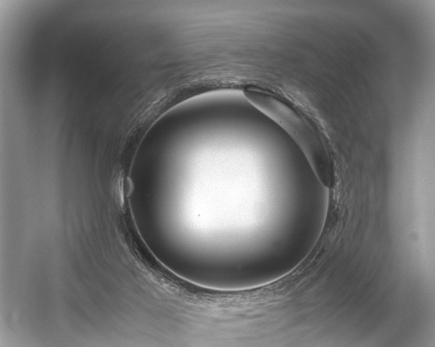 X0000059070021200510101103
