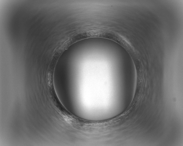 X0000059070025200510101103