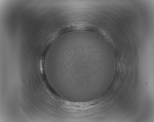 X0000059070026200510101103