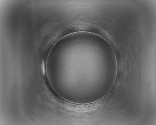 X0000059070027200510101103
