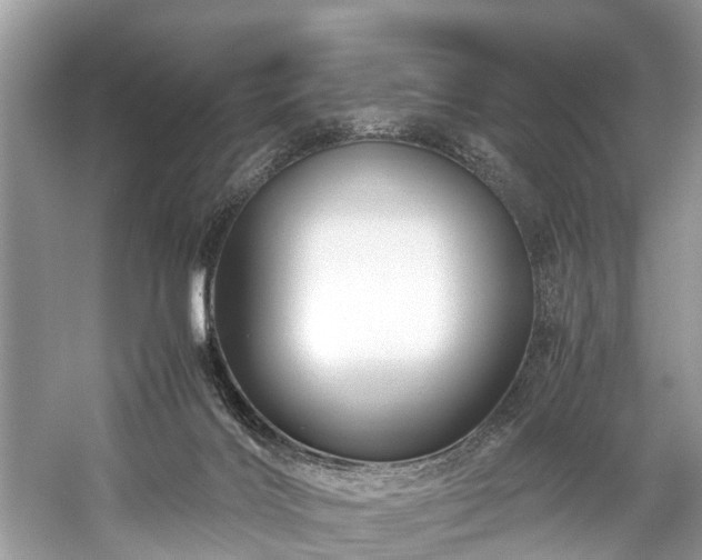 X0000059070028200510101103