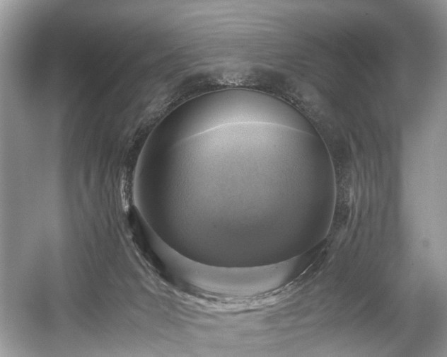 X0000059070031200510101102