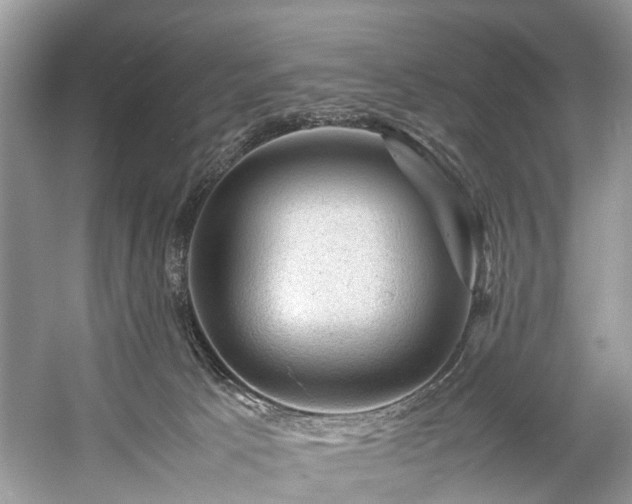 X0000059070033200510101102