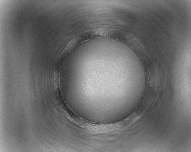 X0000059070036200510101102