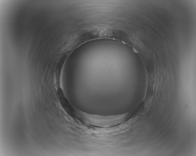 X0000059070039200510101102