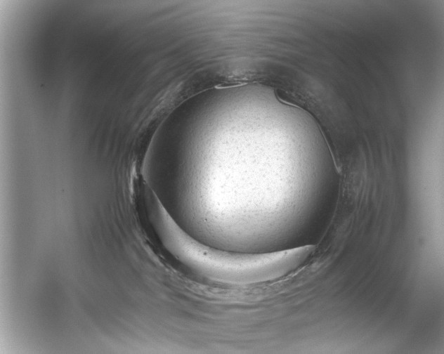 X0000059070044200510101102