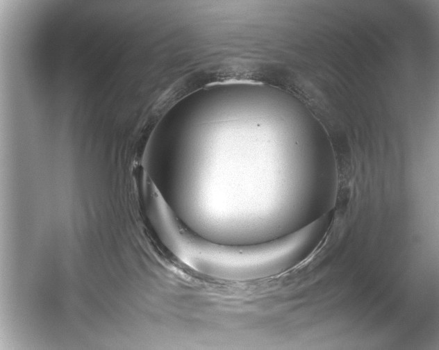 X0000059070045200510101102