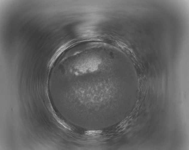 X0000059070051200510101101