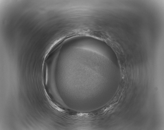 X0000059070052200510101101