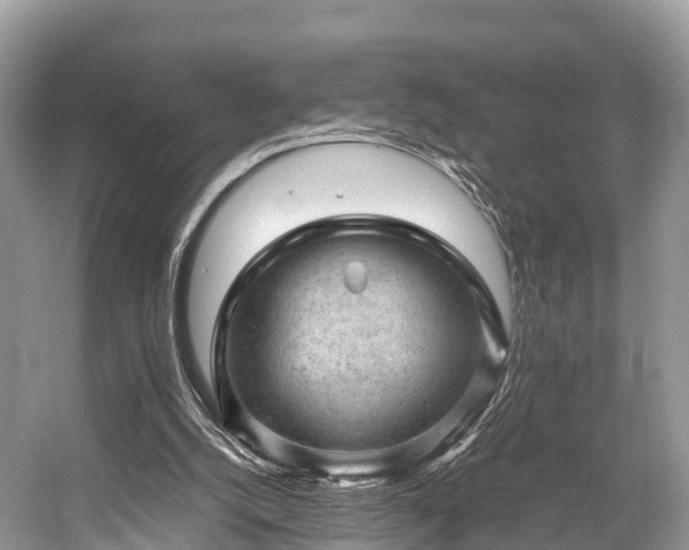 X0000059070056200510101101