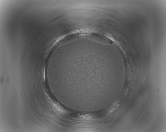 X0000059070062200510101101