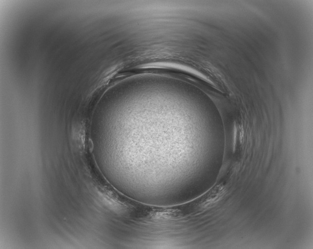 X0000059070072200510101102