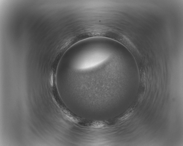 X0000059070076200510101102