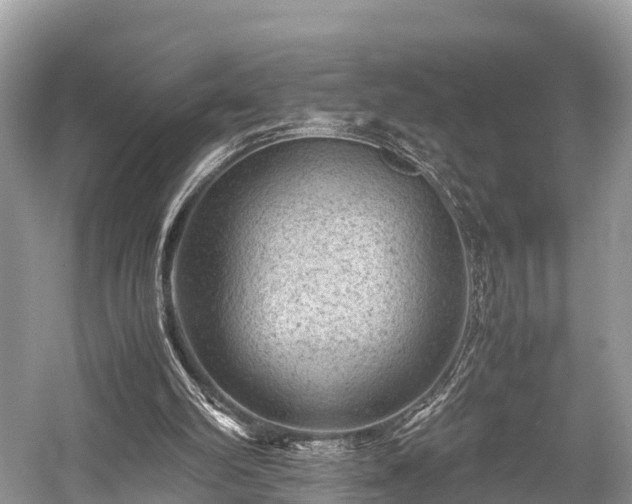 X0000059070102200510101101