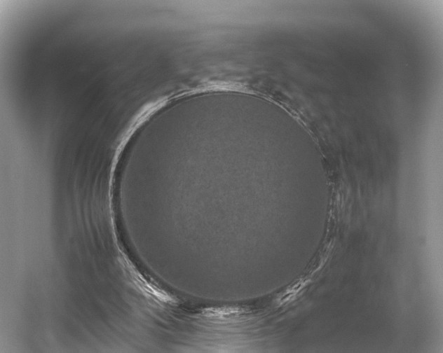 X0000059070104200510101101