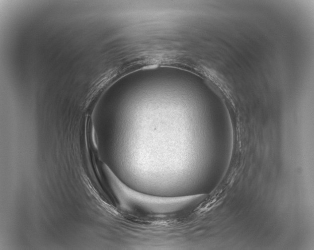 X0000059070105200510101101