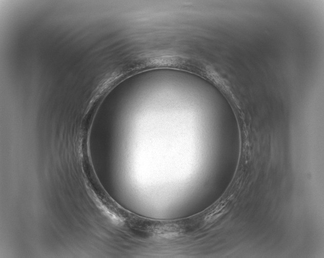X0000059070106200510101101