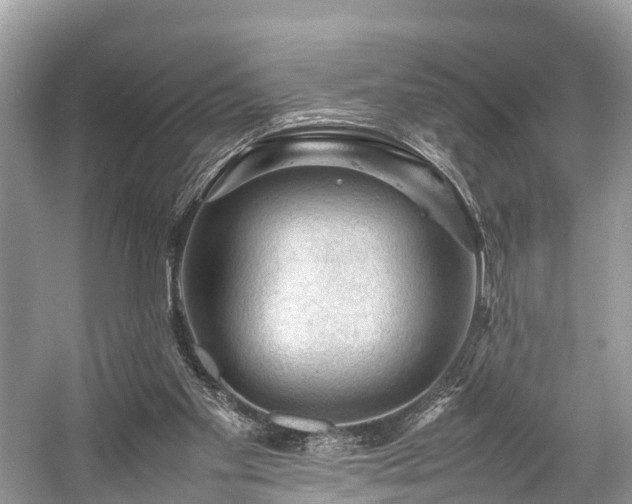 X0000059070109200510101101