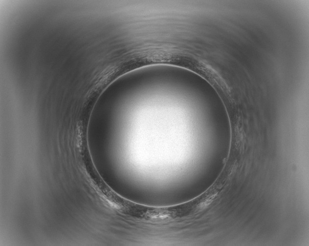 X0000059070113200510101101