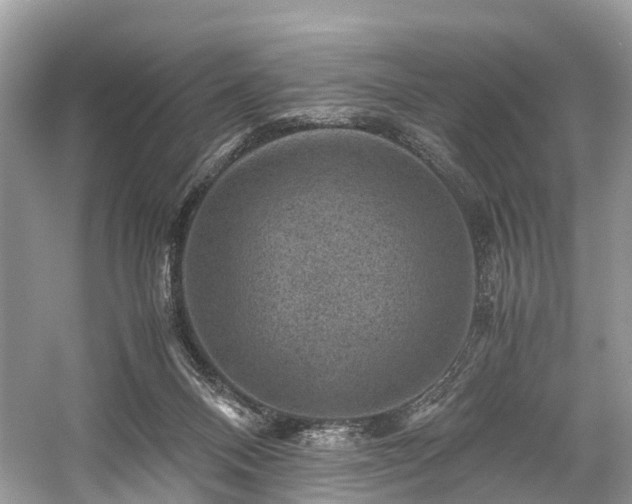 X0000059070120200510101101