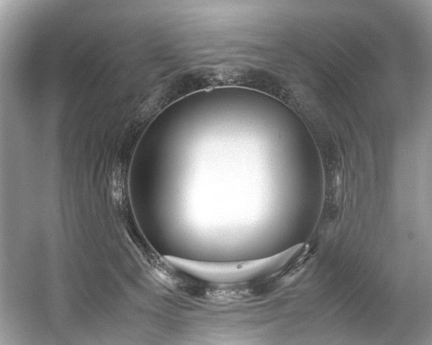 X0000059070129200510101101