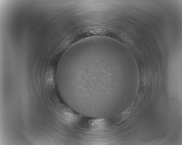 X0000059070132200510101101