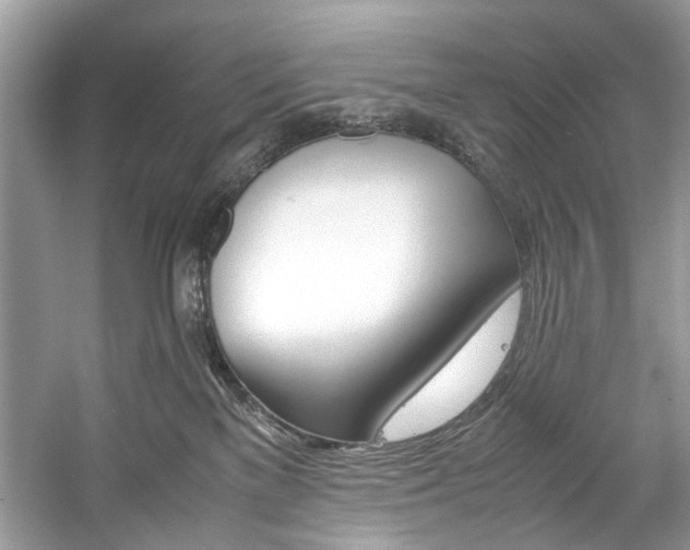 X0000059070137200510101100