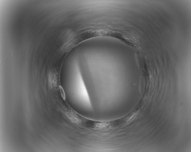 X0000059070139200510101100