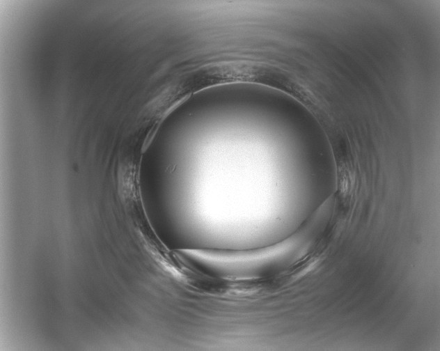 X0000059070141200510101100