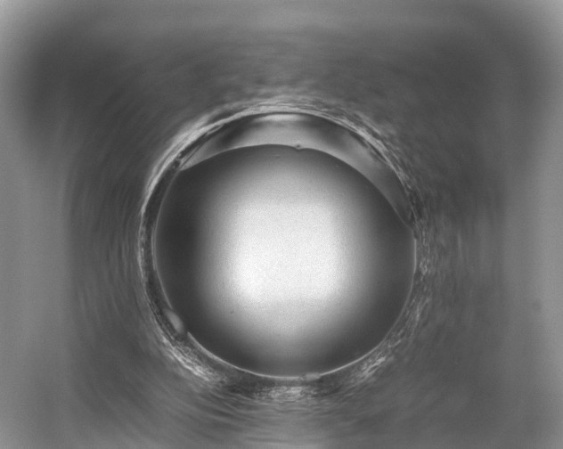 X0000059070152200510101100