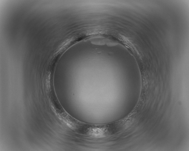 X0000059070163200510101100