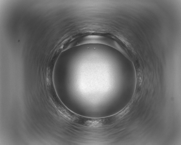 X0000059070170200510101100
