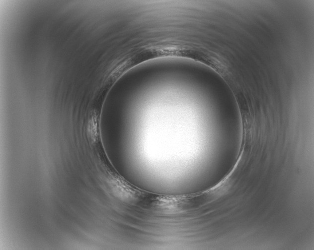 X0000059070190200510101100