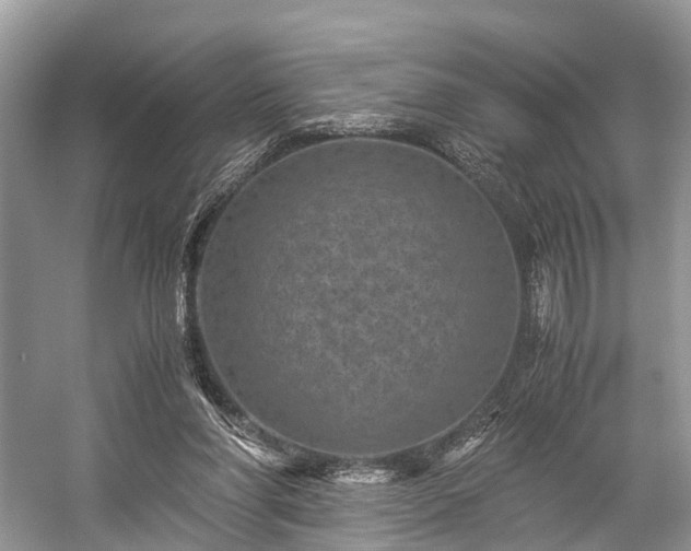 X0000059070206200510101059