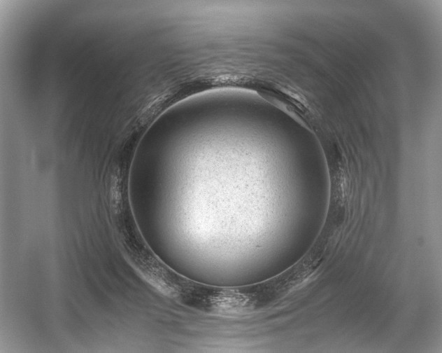 X0000059070215200510101059