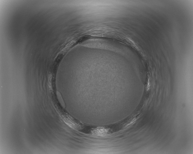 X0000059070217200510101059