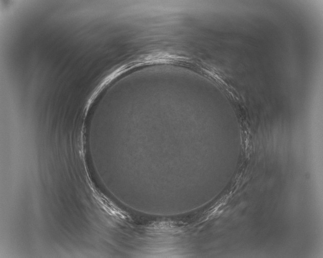 X0000059070244200510101058