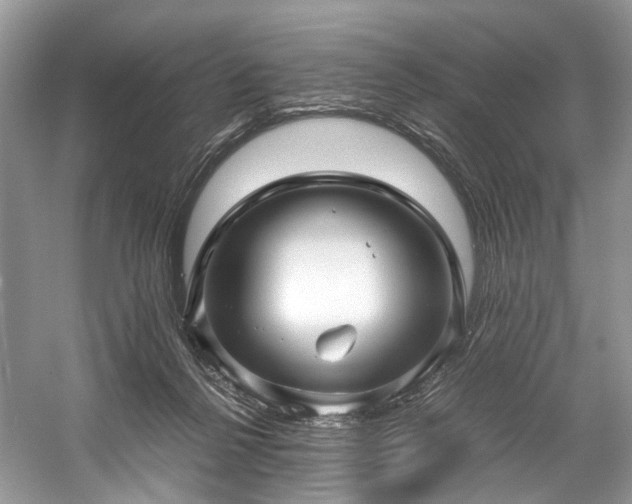 X0000059070264200510101058