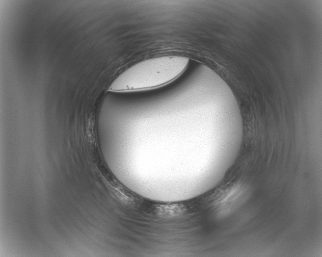 X0000059070281200510101059