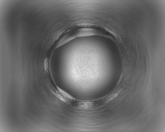 X0000059070288200510101059
