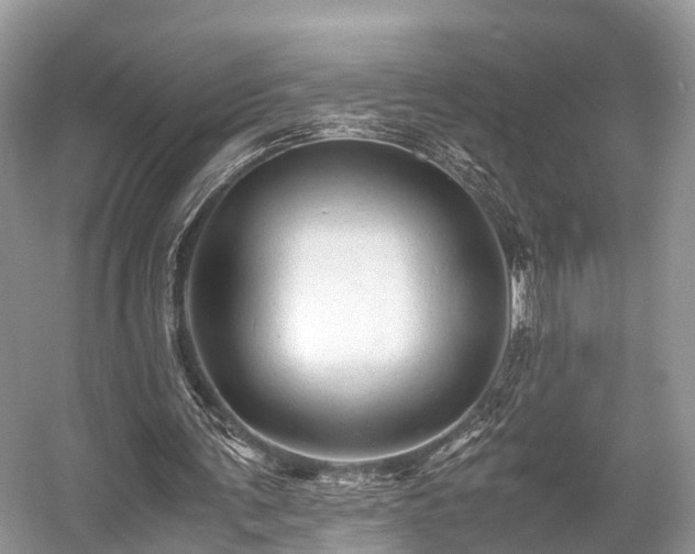 X0000059070291200510101058