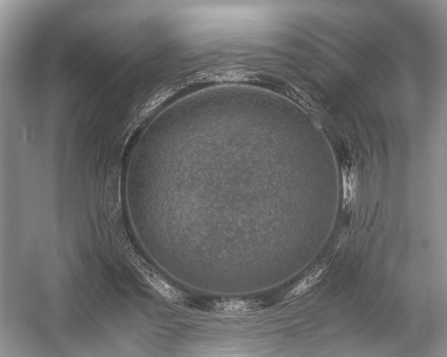 X0000059070301200510101058