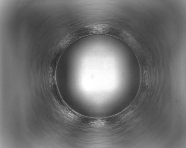 X0000059070318200510101057