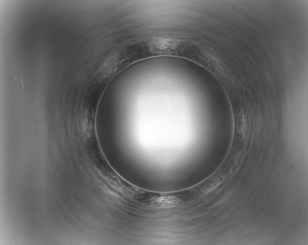 X0000059070324200510101057