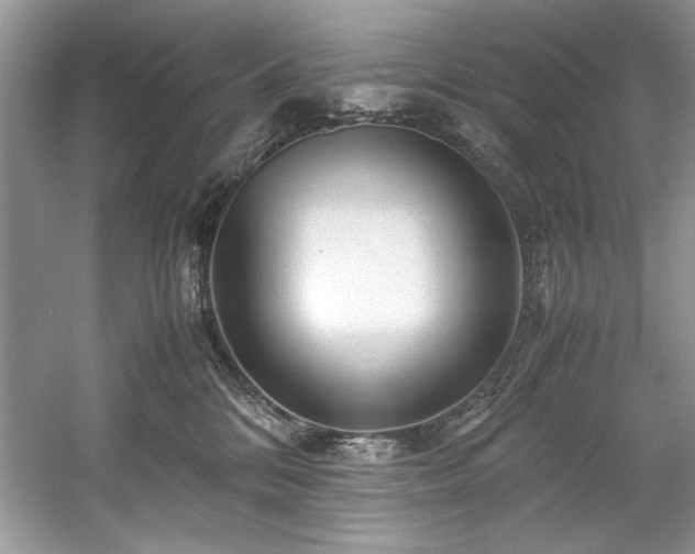 X0000059070328200510101057