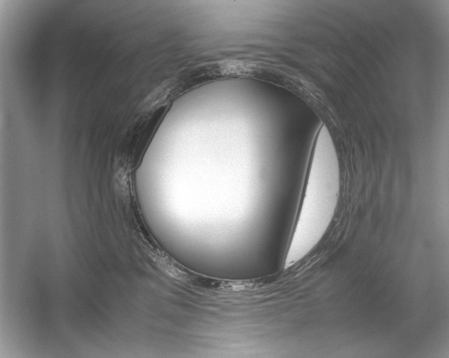 X0000059070329200510101057