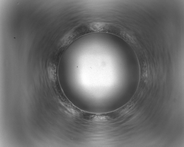 X0000059070332200510101057